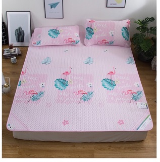 Chiếu điều hoà tencel loại 1 (1m6*2m)
