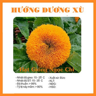 Hạt Giống Hoa Hướng Dương Xù - 30 Hạt