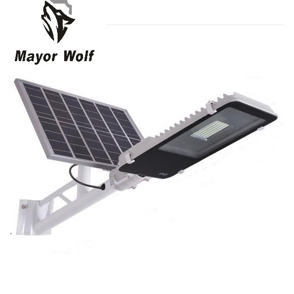 Đèn đường năng lượng mặt trời bàn trải mayorwolr LY-TYN004  50W Đèn đường lắp công viên, đường nhựa nhỏ