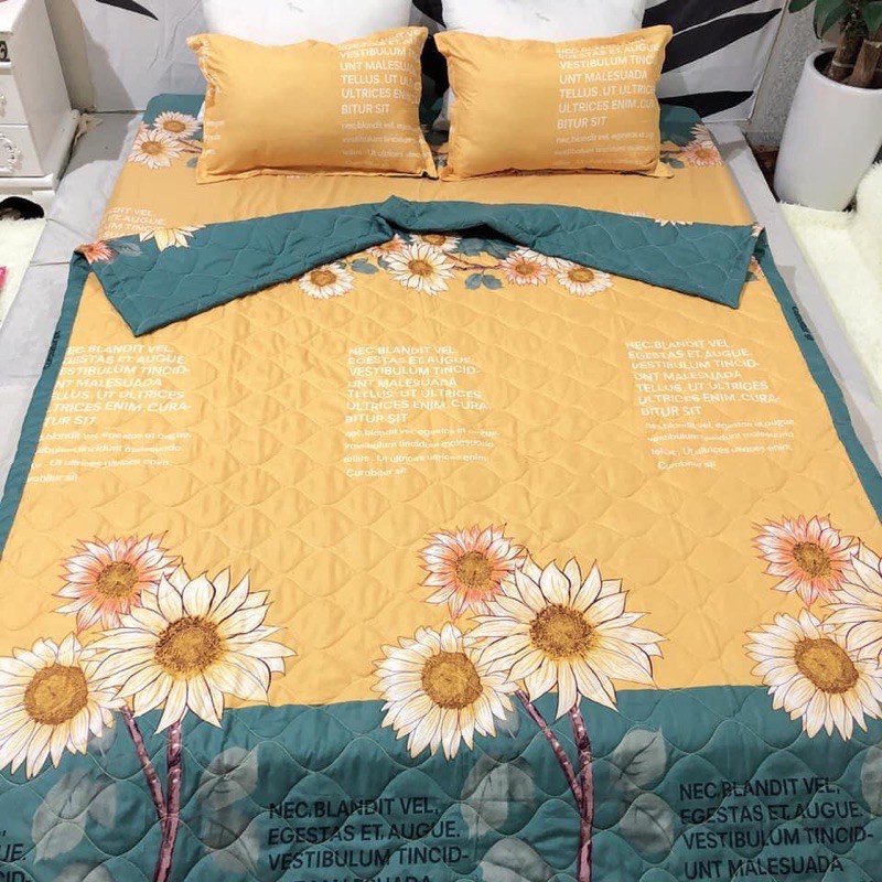 Bộ Chăn hè Ga Gối Cotton Poly Combo 5 Món - Ib chọn thêm nhiều mẫu