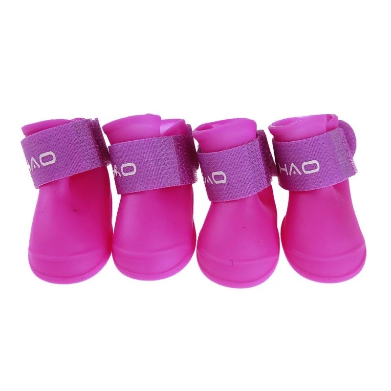 Giày chống nước chó mèo