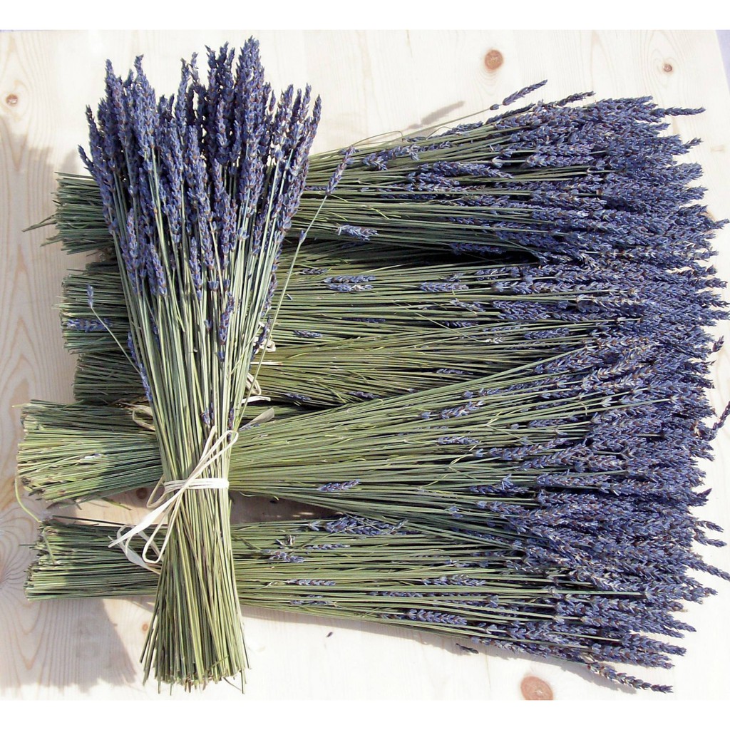 Nụ hoa lavender khô, hoa oải hương làm thơm phòng tủ quần áo