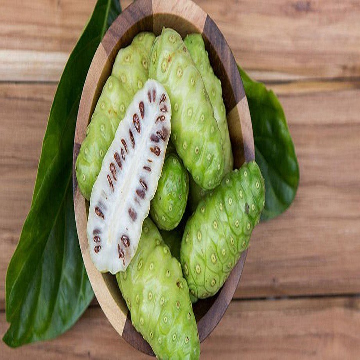 DẦU TRÁI NHÀU  1lít
