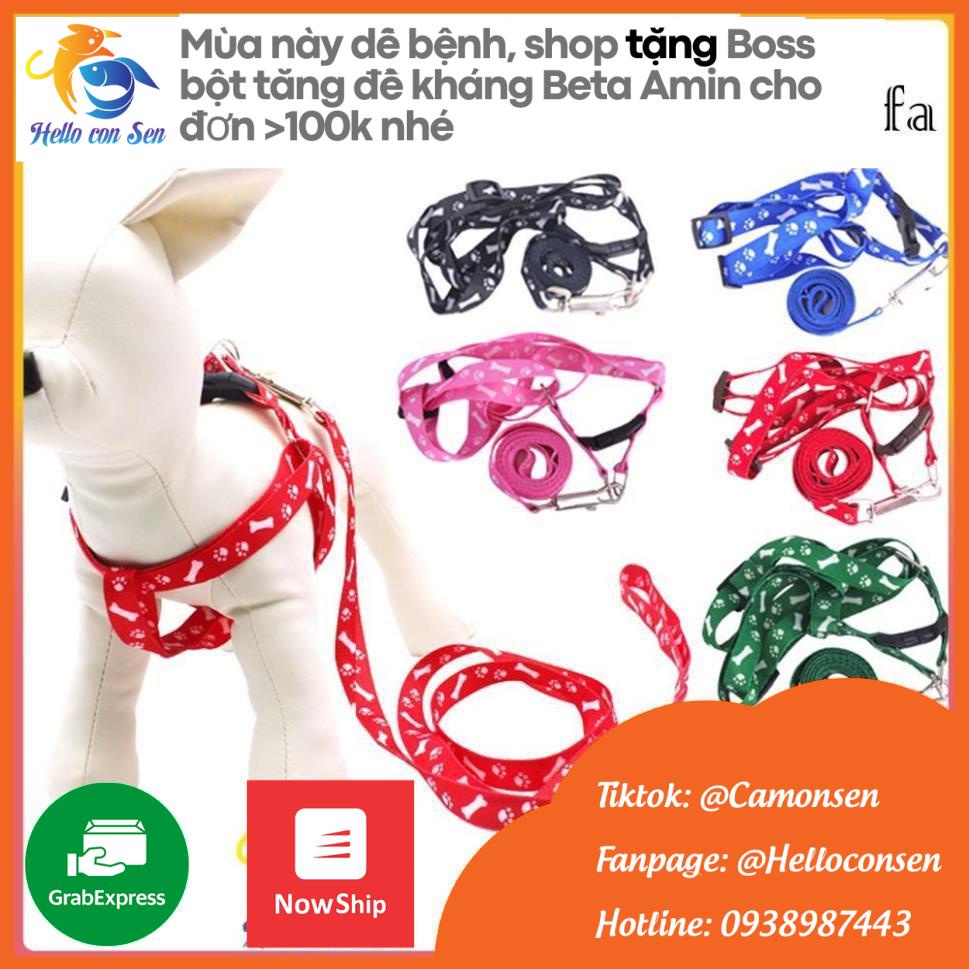 [QUẬN 2]Dây Dắt Thú Cưng Đi Dạo Tiện Lợi