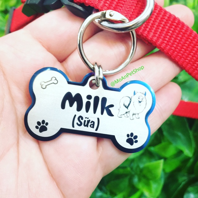 Thẻ tên cho thú cưng #PetTag tặng kèm vòng cổ siêu xinh