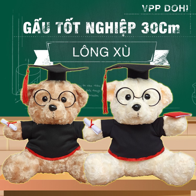 Gấu bông tốt nghiệp 30cm lông xù giá sỉ, tặng giấy gói quà