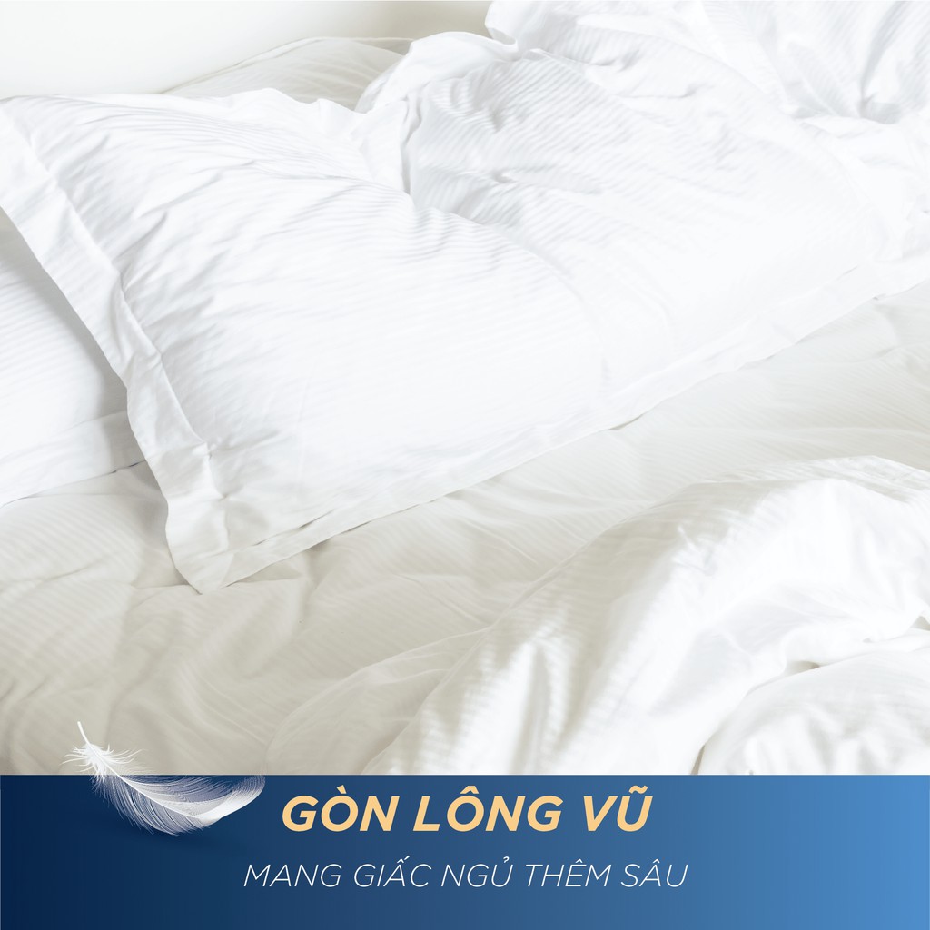 [FREESHIP] Bộ Ra Giường & Vỏ Gối Cotton ORGANIC 1 Tấc 2 Tấc - 1m6 1m8 - BENCOTTON - Drap Ga