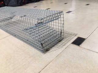 Lồng bẫy rắn (2 hom) (có video)