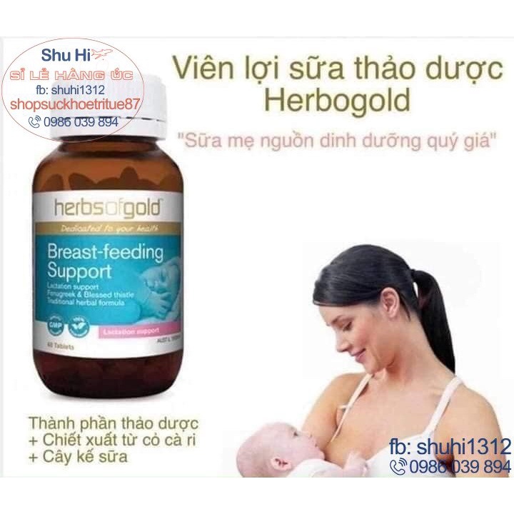Lợi sữa và kích sữa cỏ cà ri herbs of gold breastfeeding support cho mẹ sau sinh, cho con bú 60 viên úc