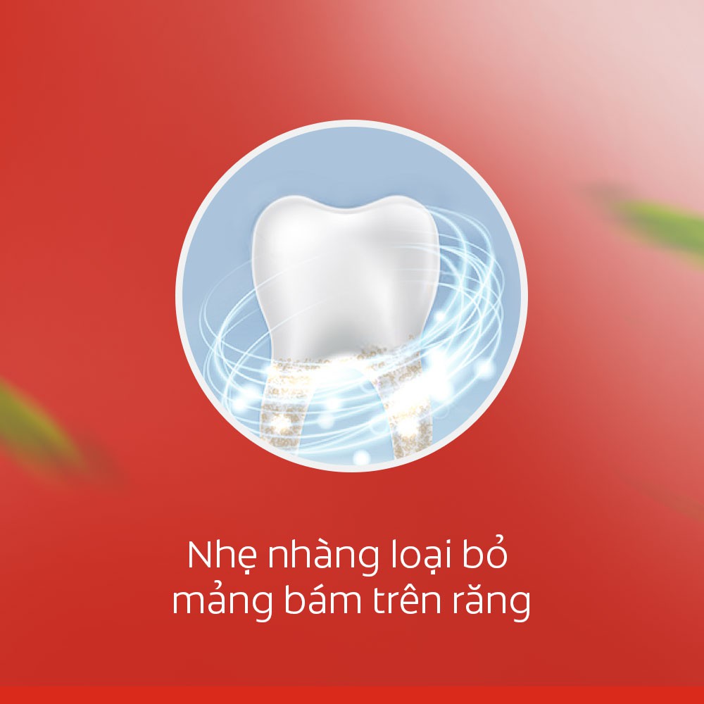 [Mã COSCOL150 giảm 8% đơn 150K] Bộ 3 Kem đánh răng Colgate làm trắng răng từ Tảo biển và muối tinh khiết 180g/hộp