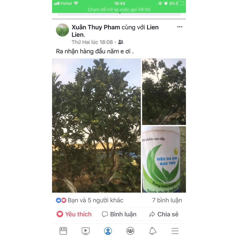 CHẾ PHẨM SINH HỌC SIÊU RA HOA HLC 500ml hàng chính hãng công ty