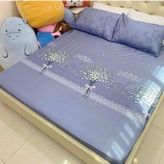 Bộ ga chun kèm vỏ gối poly cotton, ga giường bọc đệm m6x2m; m8x2m; 2mx2m2