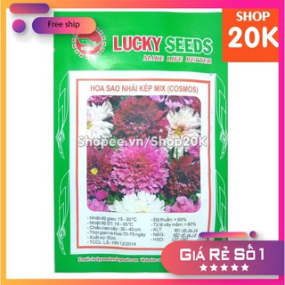 Hạt giống Sao nhái kép mix