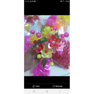 100g hoa cừ 1.2cm