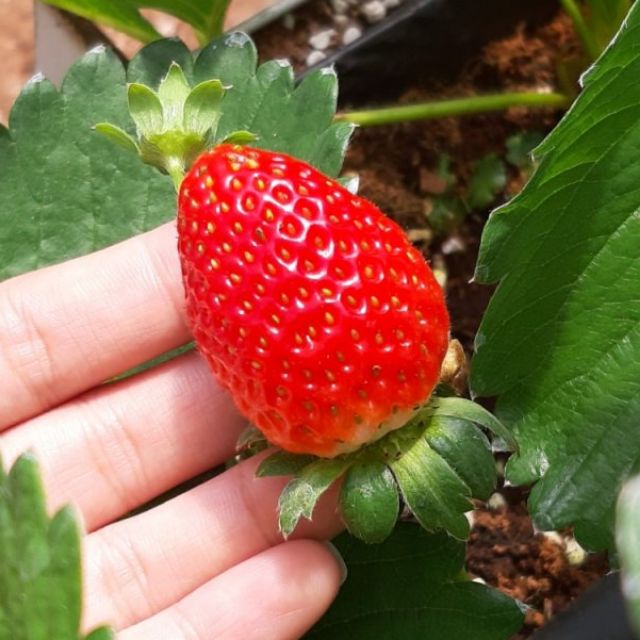 Bán Lẻ Giá Sỉ Mỹ Phẩm US