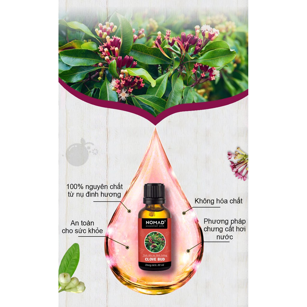 Tinh Dầu Thiên Nhiên Đinh Hương Nomad Clove Bud Essential Oil