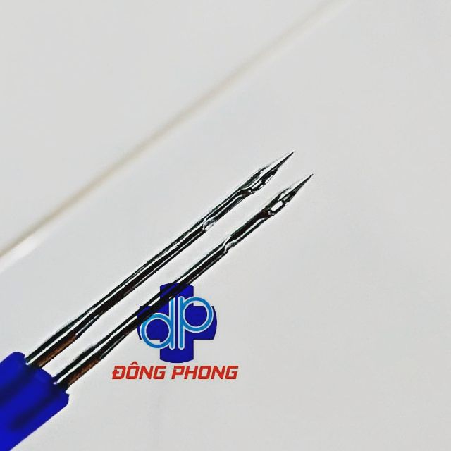 Kim chủng đậu gà