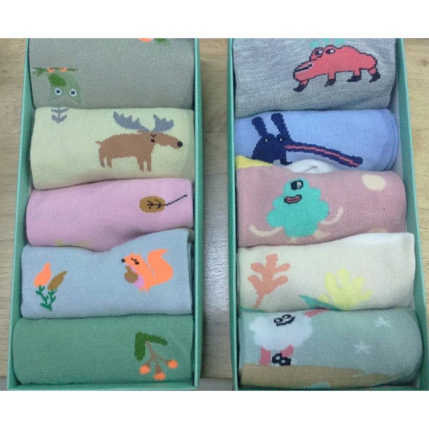 Hộp tất người lớn