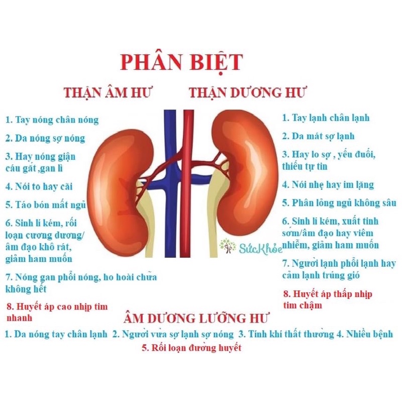 Phá Hương Đan - Bổ thận dương (12 gói)