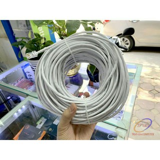 Dây Cáp Mạng Internet-VINACAP XỊN (5m-25m)