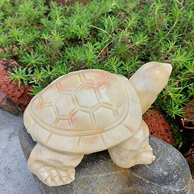 Tượng Rùa Đá nhiều màu hàng loại đẹp thiên nhiên R035 - Vật phẩm Phong Thủy