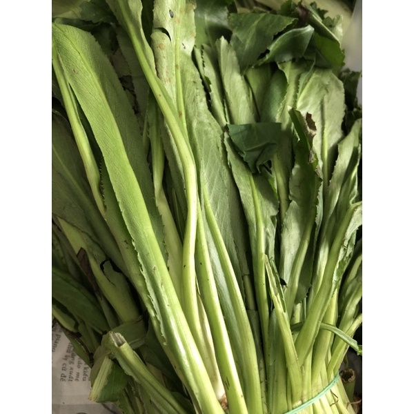 ngò gai 100gr