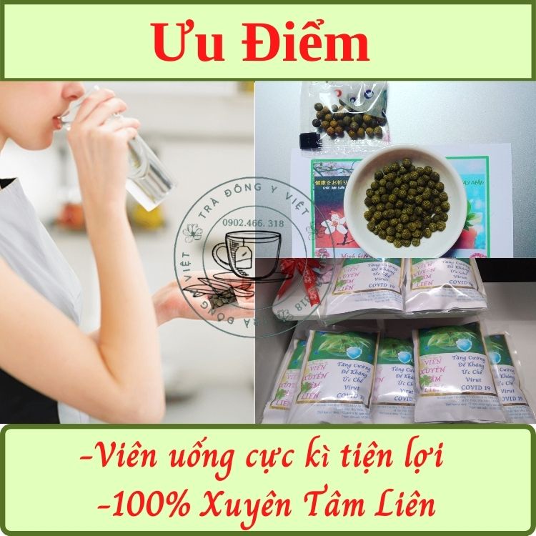 XUYÊN TÂM LIÊN - 40 Túi nhỏ - 1000 viên