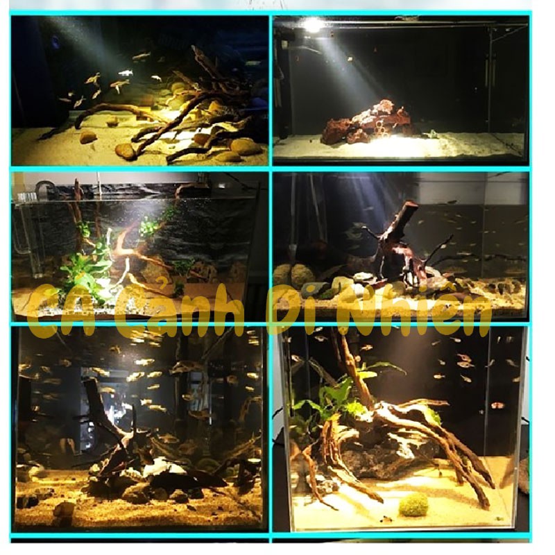 Đèn led thủy sinh BIOTOP đổi màu 3 chế độ đèn rọi kẹp thành hồ cá SD-300 5W 7W 10W