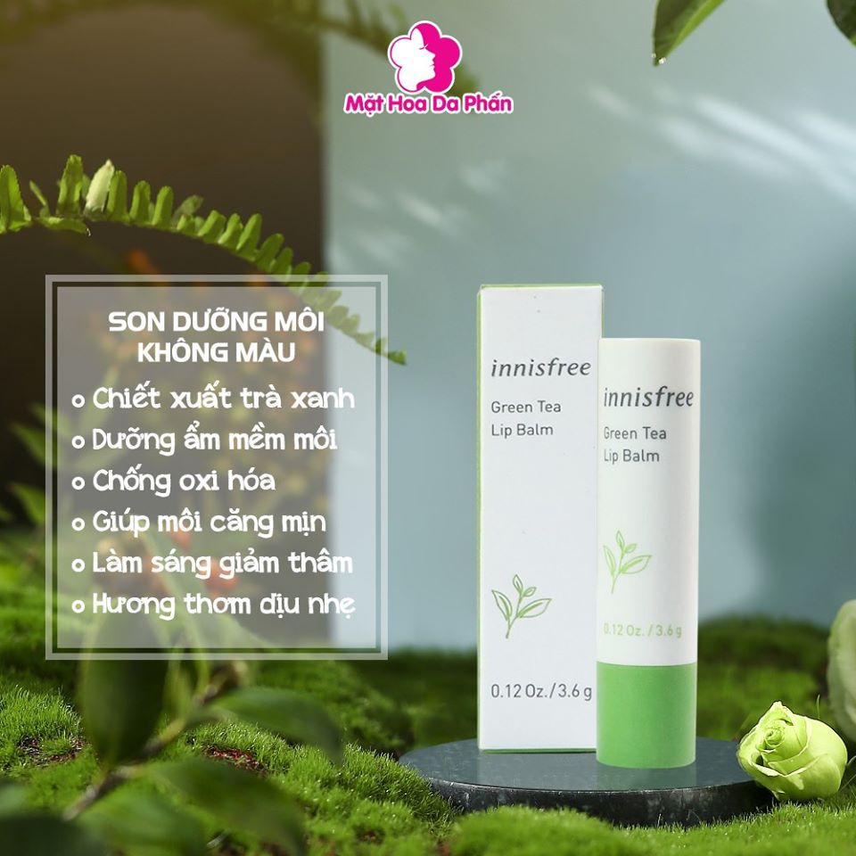 SON DƯỠNG TRÀ XANH INNISFREE GREEN TEA LIP BALM 3.6G CHÍNH HÃNG - 4776