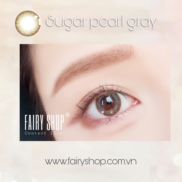 Kính Áp tròng Chic Brown 14.0MM - Kính Áp Tròng FAIRY SHOP CONTACT LENS độ 0 đến 8 Silicone Hydrogel Lens Cho Mắt Thở