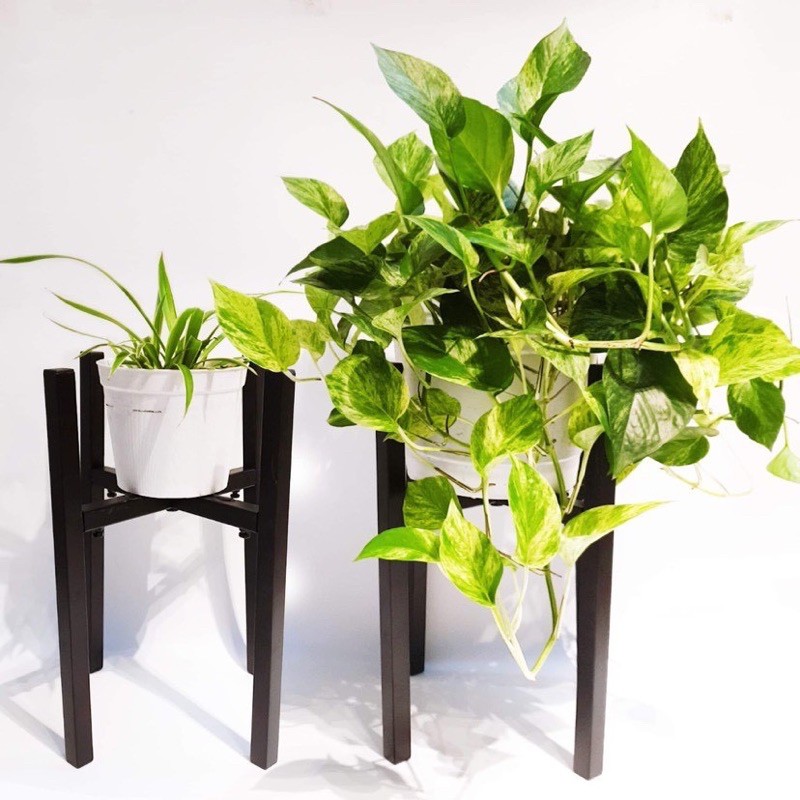 Chân giá đỡ đôn chậu cây bằng sắt 20cm-30cm GREEN HOME