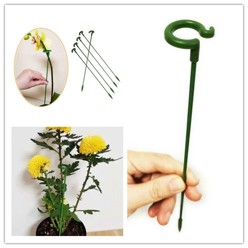 Set 10 Giá Đỡ Cố Định Cây Cảnh Chống Gãy Tiện Dụng