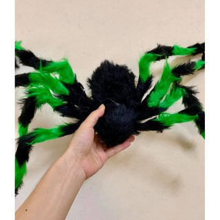Nhện trang trí tiệm xăm, Đồ trang trí