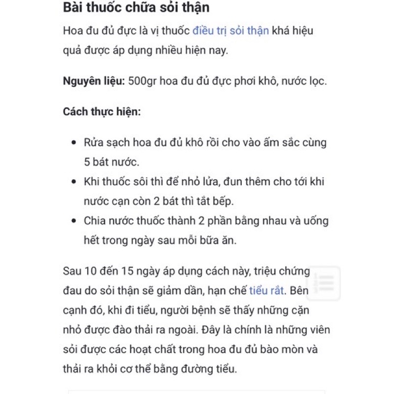 Hoa Đu Đủ Đực Sấy Lạnh Tây Bắc Thơm Đẹp