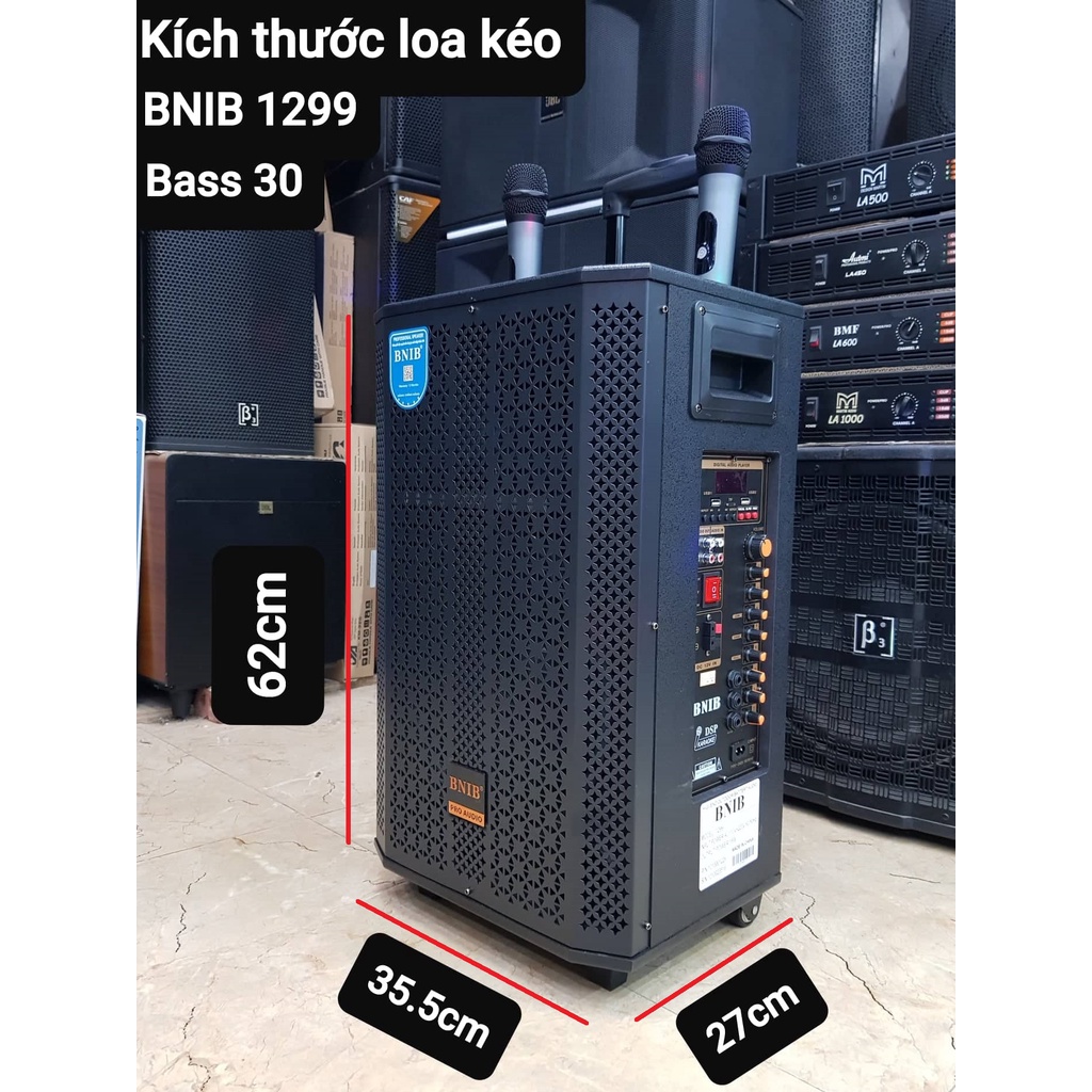 Loa kéo Karaoke Bluetooth BNIB 1299: Bass 30, Công suất 300W, Chống hú tốt. 2 Micro không dây