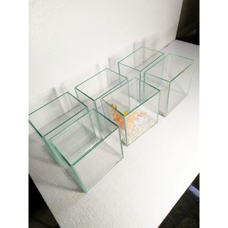 Bể cá mini đẹp. kt 15x12x15