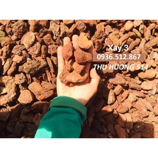 [Siêu-Rẻ-Đẹp] 1KG Vỏ Thông Đỏ Trồng Lan Đã Qua Xử Lý