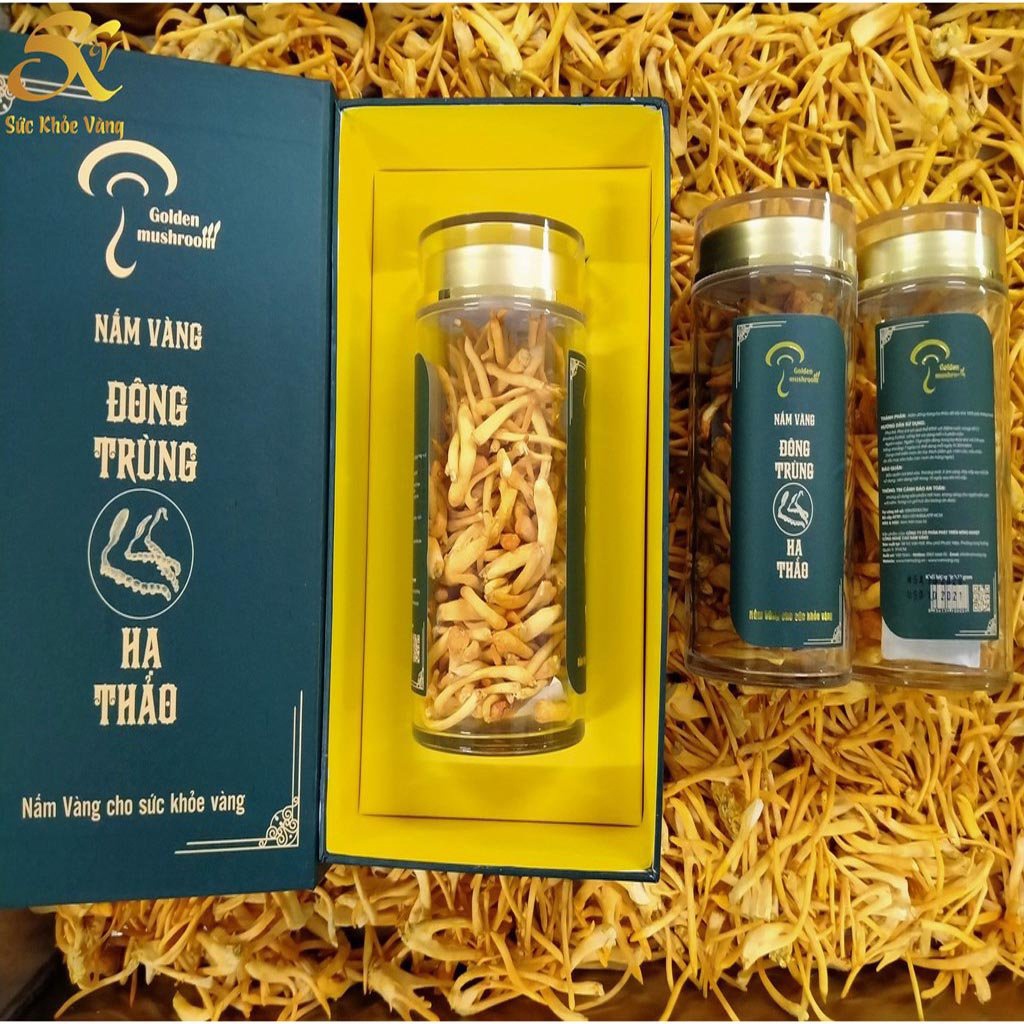 Đông trùng hạ thảo Nấm Vàng khô sợi to hộp 15G [Hàng Cao Cấp]