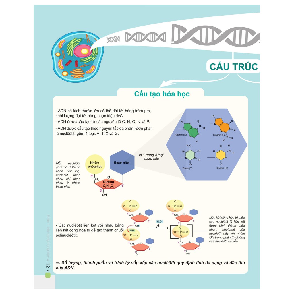 Sách - Đột phá 8+ thi THPT Quốc gia môn Sinh học (phiên bản 2020)