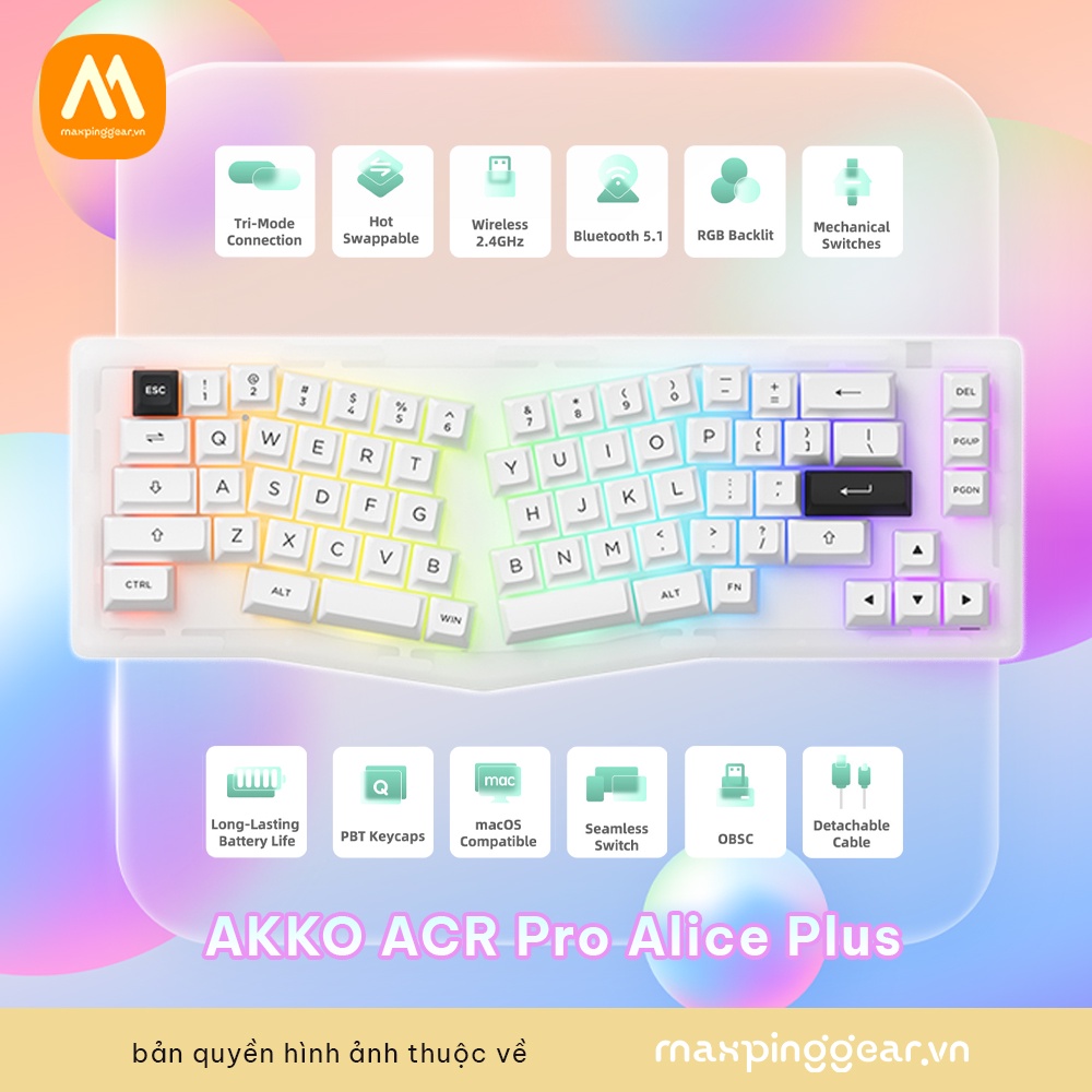 Bàn phím cơ Akko ACR Pro Alice Plus