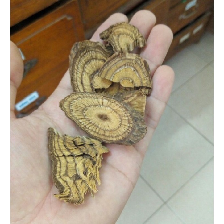 Dây Gắm  1kg - Hàng chất lượng chuẩn, loại 1, thơm,  khô, mới, sạch
