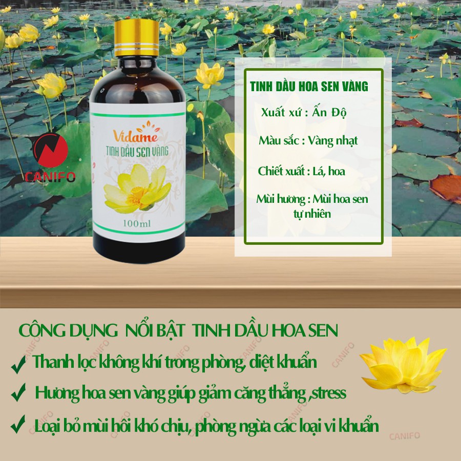 Tinh dầu sen vàng 100ml Canifo đạt tiêu chuẩn kiểm định - Tinh dầu hoa sen nguyên chất, xông thơm nhà, khử mùi hiệu quả