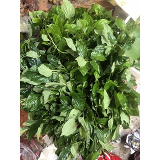 Lá Lốt Tươi 30k/500gr