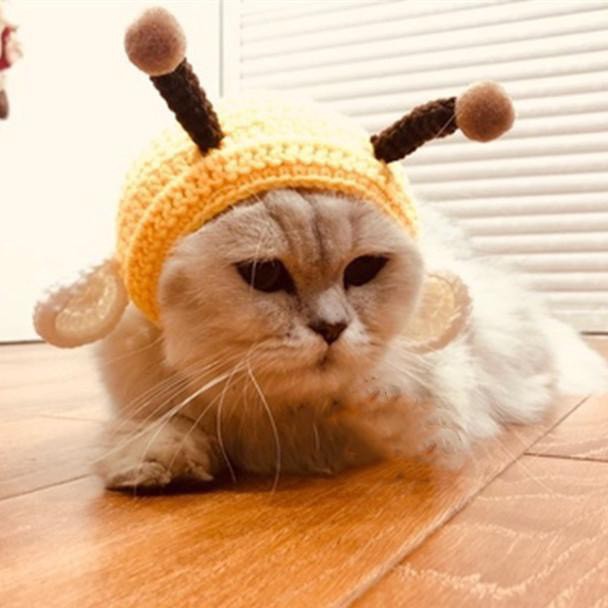 Mũ Len Đáng Yêu Dành Cho Thú Cưng