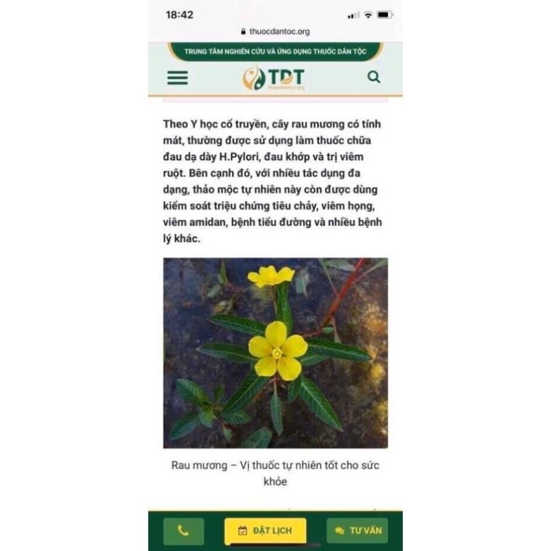 1 Kg Cây rau mương khô nhiều lá hàng loại 1