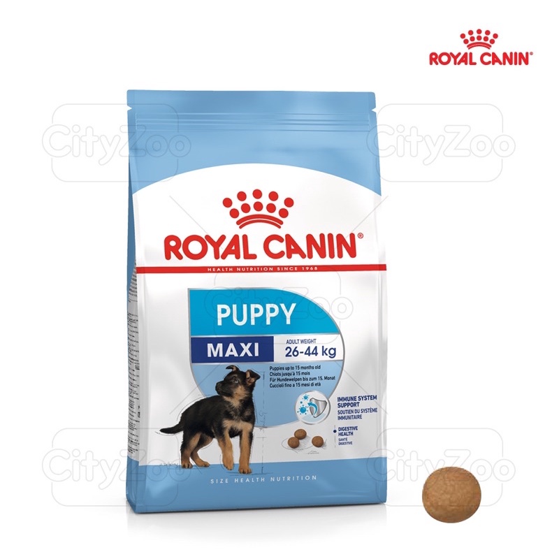 Hạt Royal Canin Maxi Puppy cho chó con cỡ lớn