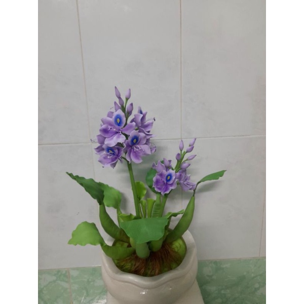 Chậu hoa lục bình đất sét