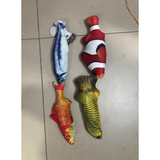 Cá nhồi Catnip