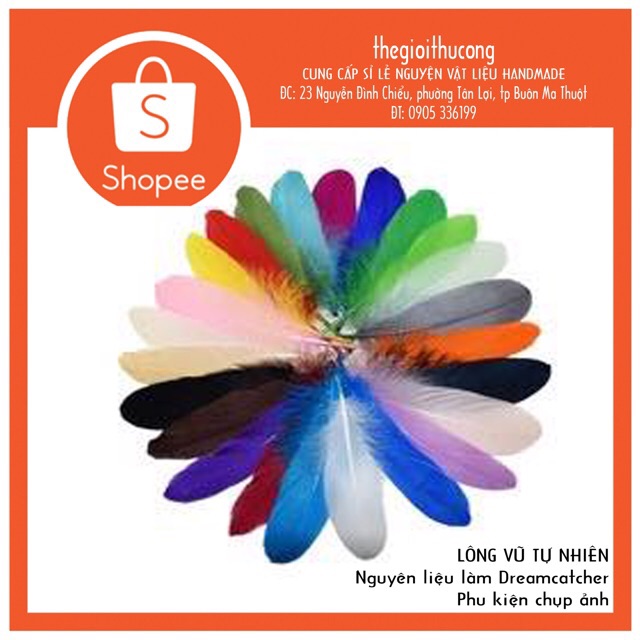 ✨lông vũ tự nhiên