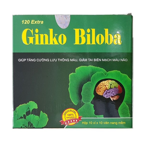 GINKGO BILOBA 120mg  -Bổ não, Hoạt huyết dưỡng não, tăng cường lưu thông máu não